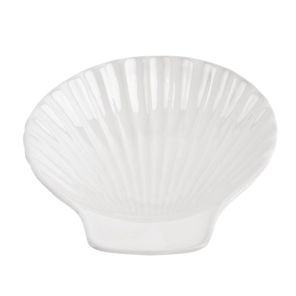 Coquille blanche Olympia (Lot de 6)