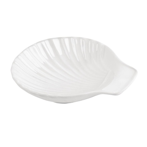 [W420] Coquille blanche Olympia (Lot de 6)
