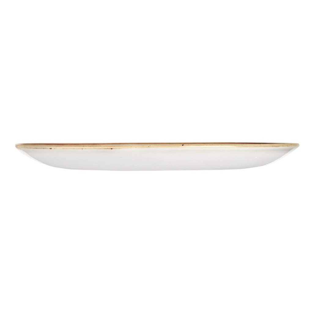 Assiettes rondes grises Churchill Stonecast 260mm (lot de 12)