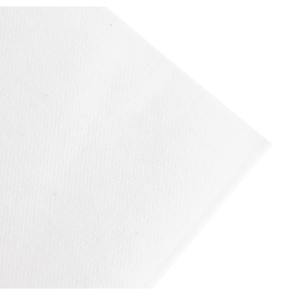 Serviettes dîner ouate blanches compostables Duni 480mm pliage 1/8 (lot de 360)