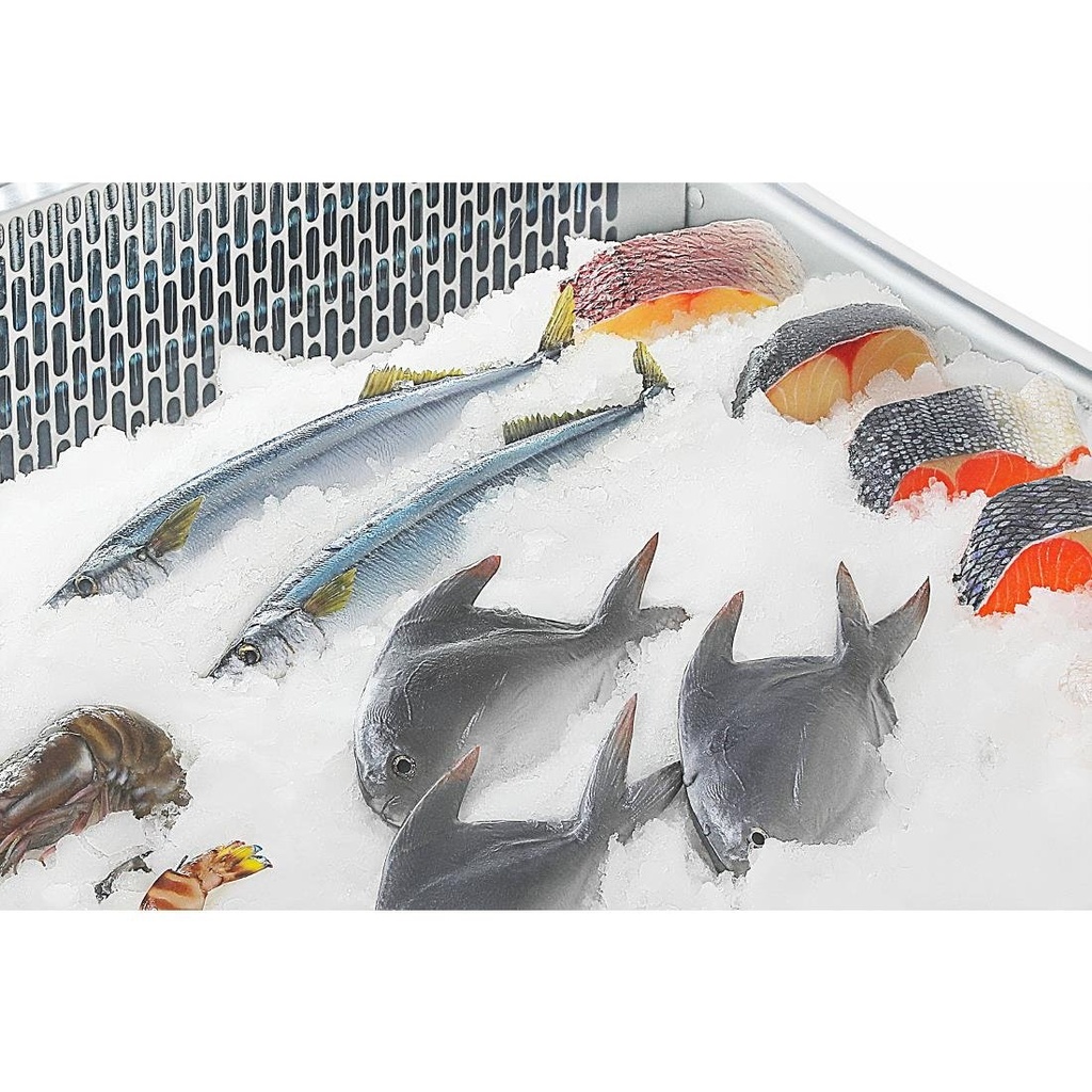 Vitrine réfrigérée de comptoir à poisson Polar Série G 175L