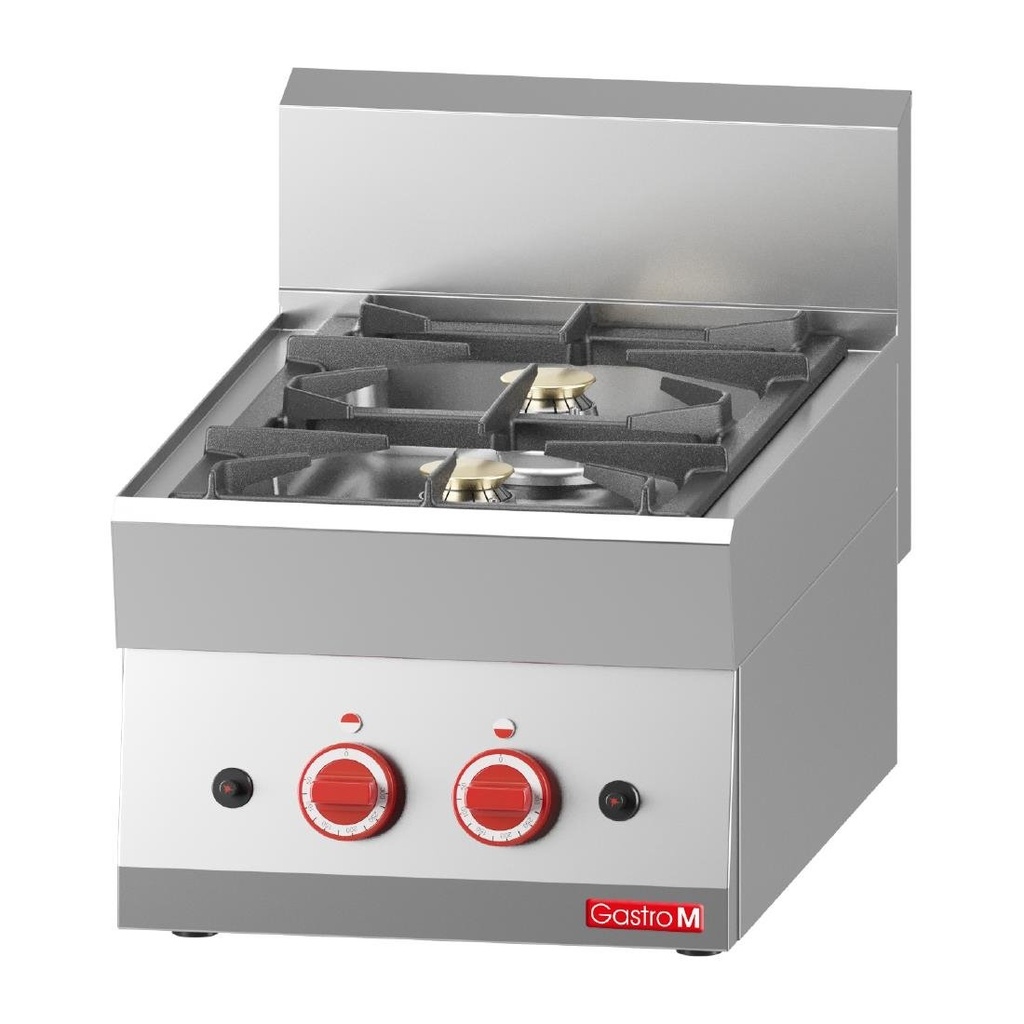 2 feux vifs gaz à poser Gastro M 65/40 PCG